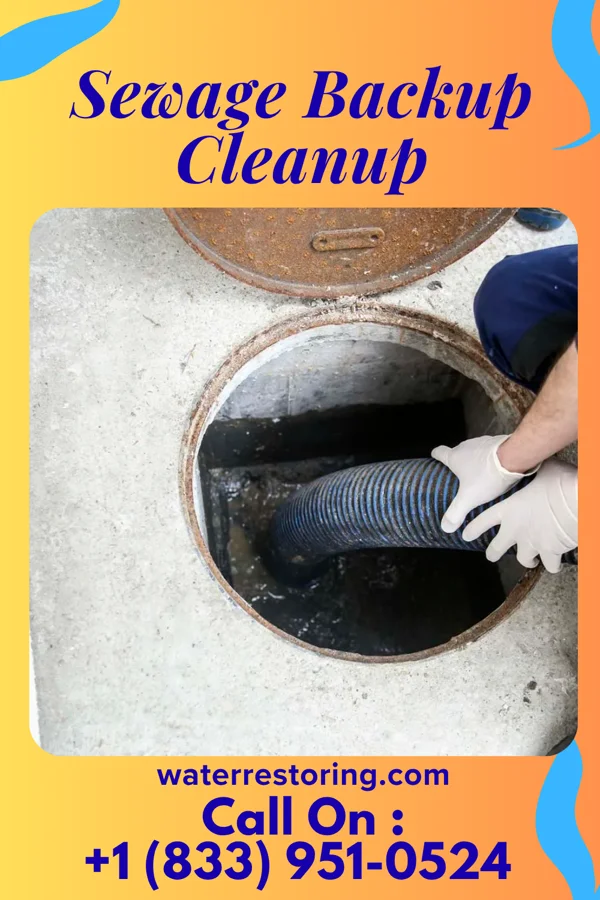 Sewage Backup Cleanup in Harrisburg, OH