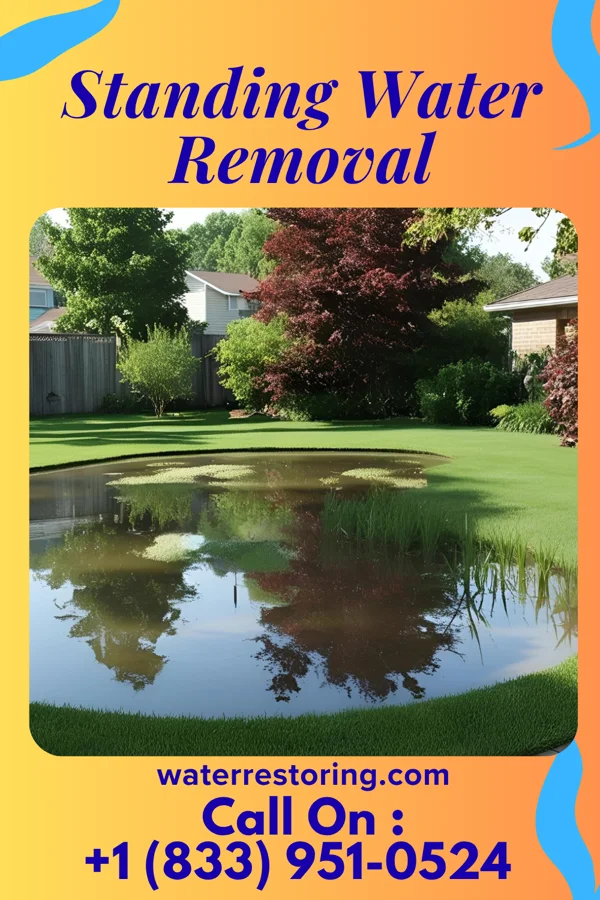 Standing Water Removal in Harrisburg, OH
